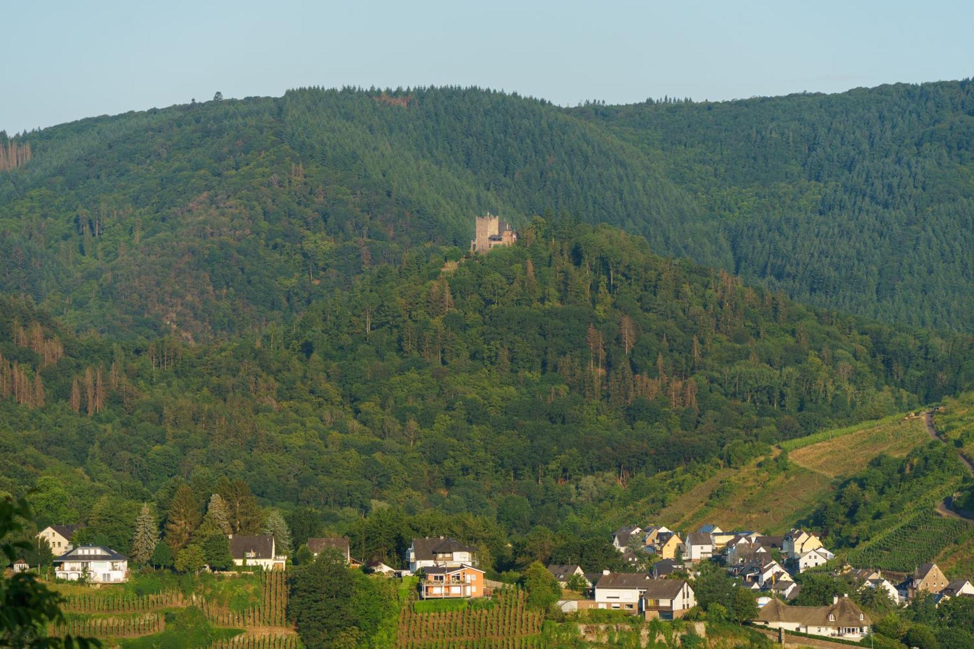 Auf Sarret Apartment Bullay